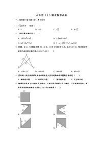 华师大版八年级数学（上） 期末检测试题含解析 (4)