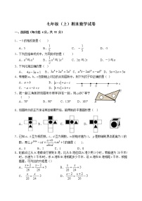 试卷 七年级（上）期末数学试卷  含解析 (2)