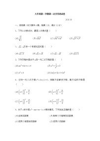 试卷 上海金山区2020金山初级中学八年级上学期第一次月考数学测试卷