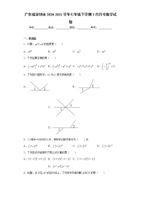 试卷 广东省深圳市2020-2021学年七年级下学期3月月考数学试题