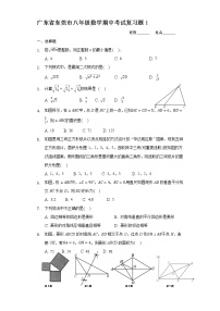 广东省东莞市2020-2021学年八年级数学下学期期中考试复习题（word版 含答案）