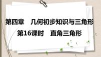 2021年中考数学总复习课件第16课时　直角三角形