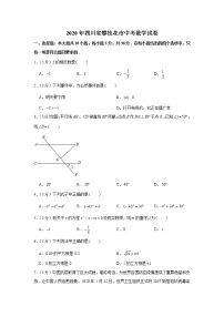 试卷 2020年四川省攀枝花市中考数学试卷