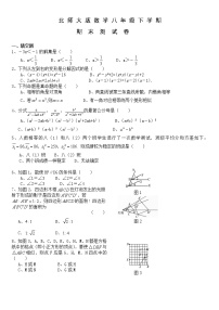 北师大版八年级下册数学期末考试卷含答案