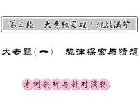 2018届中考数学总复习课件：大专题一(共46张PPT)