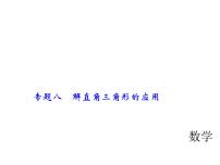 2018年中考数学（全国）总复习精英课件： 第二轮专题总复习  专题八　解直角三角形的应用 (共29张PPT)