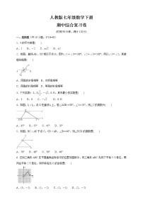 2020-2021学年人教版七年级数学下册  期中综合复习卷（word版 含答案）