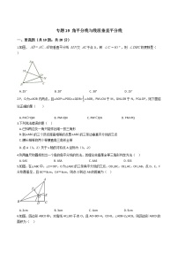 2021年中考数学二轮复习专项训练 专题19 角平分线与线段垂直平分线(含解析）