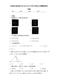 吉林省吉林市舒兰市 2020-2021学年八年级上学期 期末数学试题（含答案）