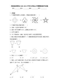 河南省济源市 2020-2021学年九年级上学期 期末数学试题（含答案）