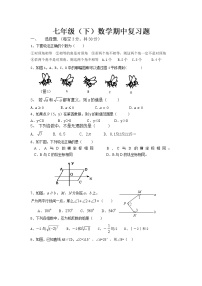 2020-2021学年人教版七年级数学下册期中复习卷