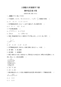 2020-2021学年人教版七年级数学下册  期中综合复习卷（word版 含答案）