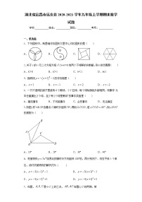 湖北省宜昌市远安县2020-2021学年九年级上学期期末数学试题（word版 含答案）