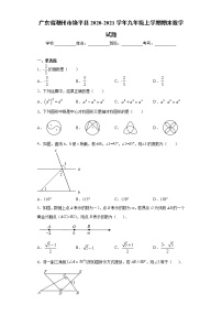 广东省潮州市饶平县2020-2021学年九年级上学期期末数学试题（word版 含答案）