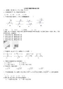 2020-2021学年人教版七年级数学下册期中综合复习