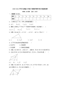 2020-2021学年人教版八年级数学下册 期中复习检测试题