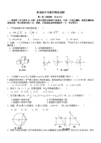 2021年山东省泰安市九年级数学中考模拟试题（word版 含答案）