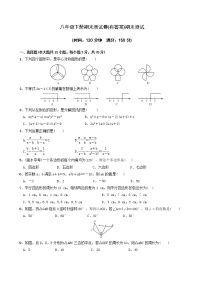 北师大版八年级数学下册期末测试卷及答案(四)