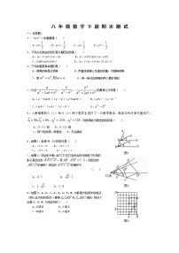 北师大版八年级数学下册期末测试卷及答案(二)