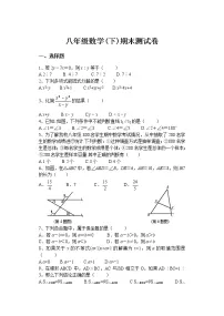 北师大版八年级数学下册期末测试卷及答案(三)
