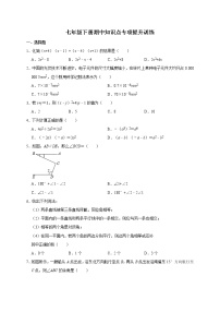 2020--2021学年北师大版数学七年级下册期中知识点专项提升训练