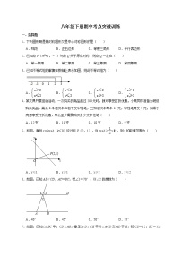 北师大版数学八年级下册期中考点突破训练