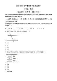 河南省郑州市金水区2020-2021学年七年级下学期期中数学试题（word版 含答案）