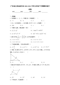 广东省云浮市新兴县2020-2021学年九年级下学期期中数学试题（word版 含答案）