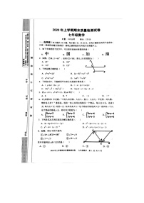 2019-2020学年湖南省邵阳市邵东市七年级下学期期末质量检测数学统考检测卷（扫描版无答案）