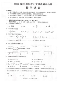 安徽省合肥市2020-2021学年七年级下学期期中质量检测数学试卷