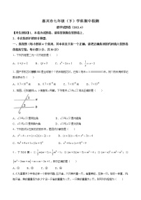 浙江省嘉兴市2020-2021学年七年级下学期期中数学试题(无答案)