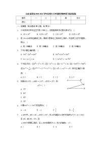 山东省青岛2020-2021学年北师大版七年级数学下学期期中复习检测试题（word版 含答案）