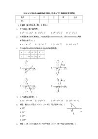 山东省青岛市2020-2021学年七年级下学期期中数学复习试卷