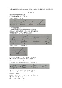 山东省菏泽市成武县2020-2021学年七年级下学期期中学业质量检测数学试题（word版 含答案）