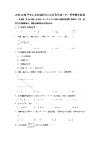 山东省临沂市兰山区2020-2021学年下学期七年级数学期中检测题