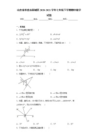 山东省枣庄市薛城区2020-2021学年七年级下学期期中数学试题（word版 含答案）