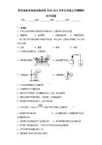 河北省秦皇岛市山海关区2020-2021学年九年级上学期期中化学试卷（word版，含答案）