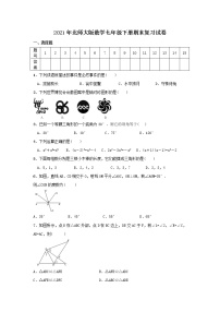 2021年北师大版数学七年级下册期末复习试卷七（含答案）