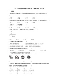 2021年北师大版数学七年级下册期末复习试卷四（含答案）