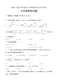 山东省菏泽市定陶区2020-2021学年 七年级下学期期中考试数学试题（word版 含答案）