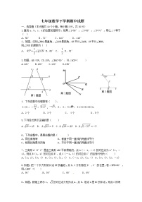 山东滨州邹平县好生镇初级中学2016-2017七年级数学下册期中试题（无答案）