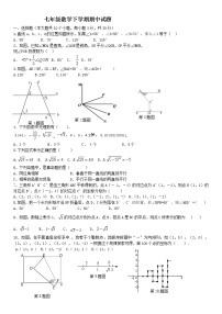 山东滨州邹平县好生镇初级中学2016-2017七年级数学下册期中试题（无答案）