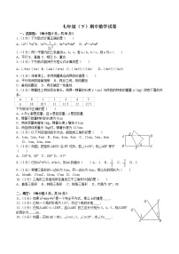 七年级（下）期中数学试卷含答案