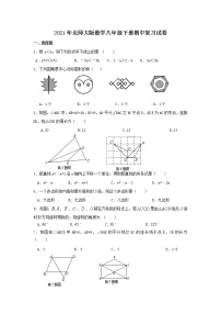 2021年北师大版数学八年级下册期中复习试卷四（含答案）