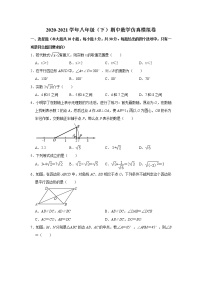 -广东省广州市2020-2021学年八年级下学期期中数学仿真模拟卷