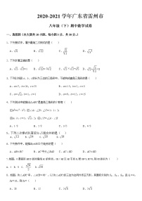 广东省湛江市雷州市2020-2021学年八年级下学期期中模拟考试数学试卷（word版，无答案）