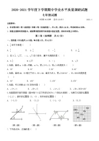 山东省临沂市河东区2020-2021学年下学期期中考试七年级数学试题