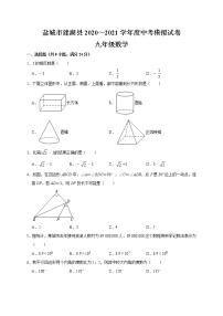 2021年江苏省盐城市建湖县九年级中考数学模拟试卷