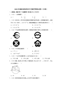 2020年湖南省株洲市中考数学模拟试卷（白卷）