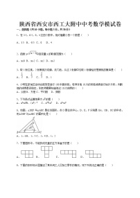 陕西省西安市西工大附中中考数学模试卷